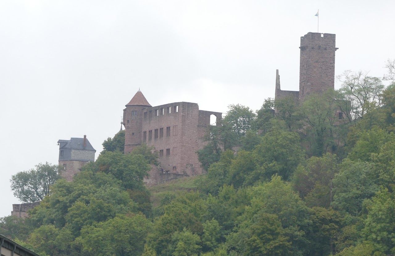 Bild vom 13. Benefizlauf im Jahr 2022. Dies ist das 639. Bild.